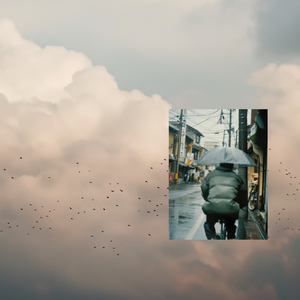 墨人操中国女人的逼
